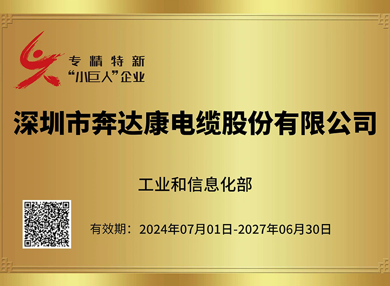 国 家级专精特新“小巨人”企业